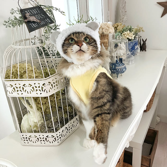 yuchiさんの実例写真