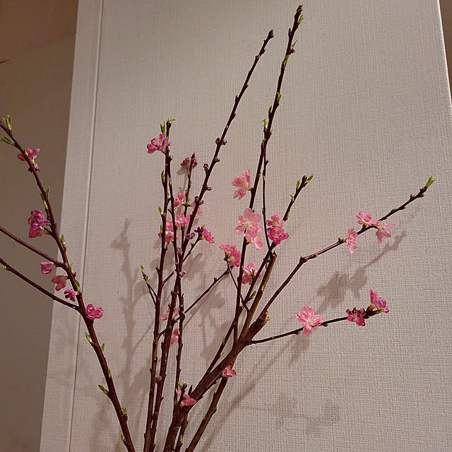 krさんの実例写真