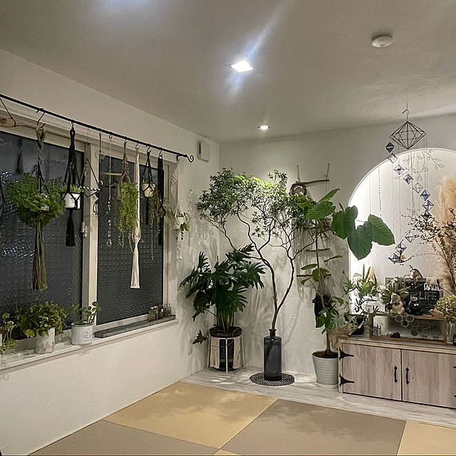 usakoさんの部屋