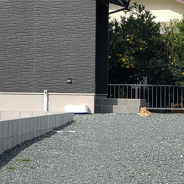 hinatamamaさんの実例写真
