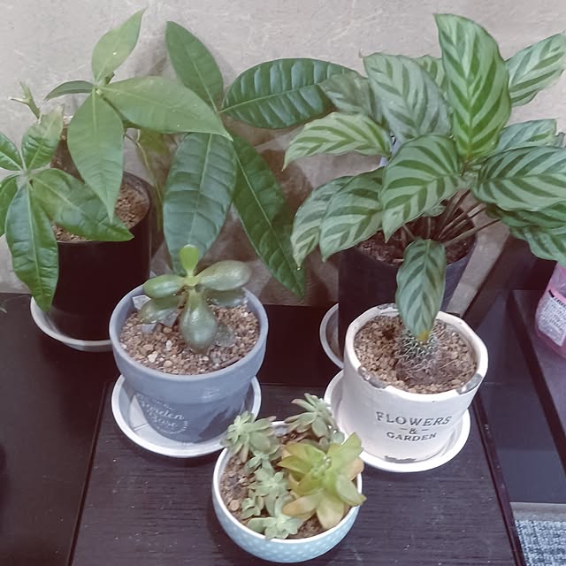 hiro.904さんの部屋