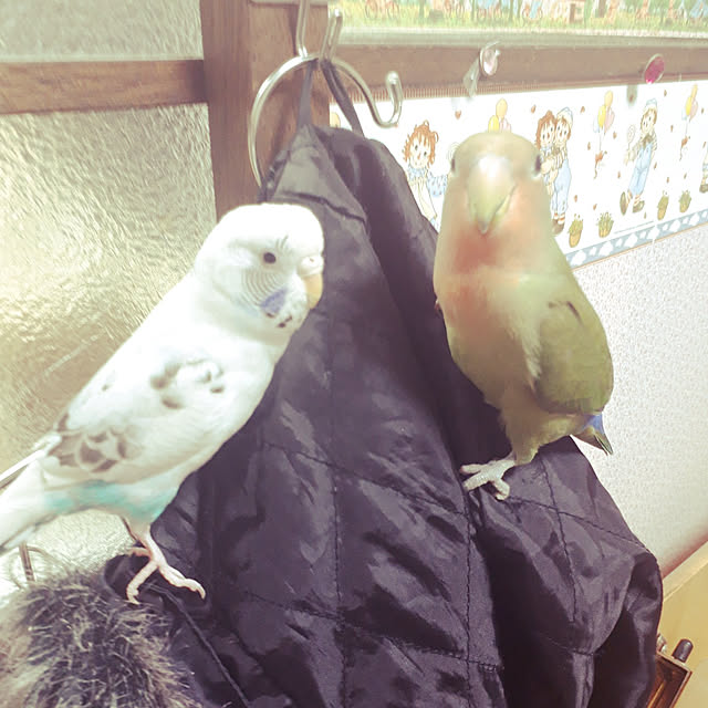 ANTENNAさんの実例写真