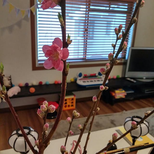 miku121212さんの実例写真