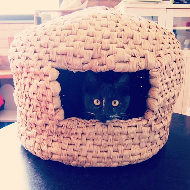 Ryoさんの実例写真