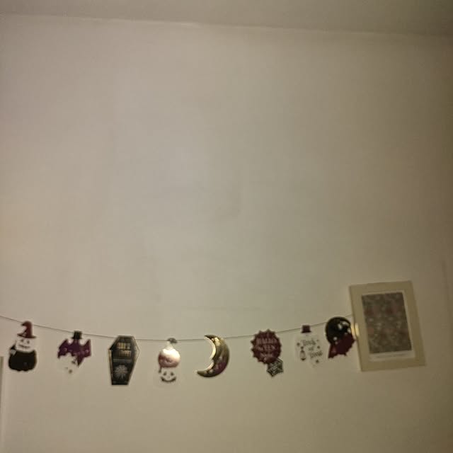 hisaさんの実例写真