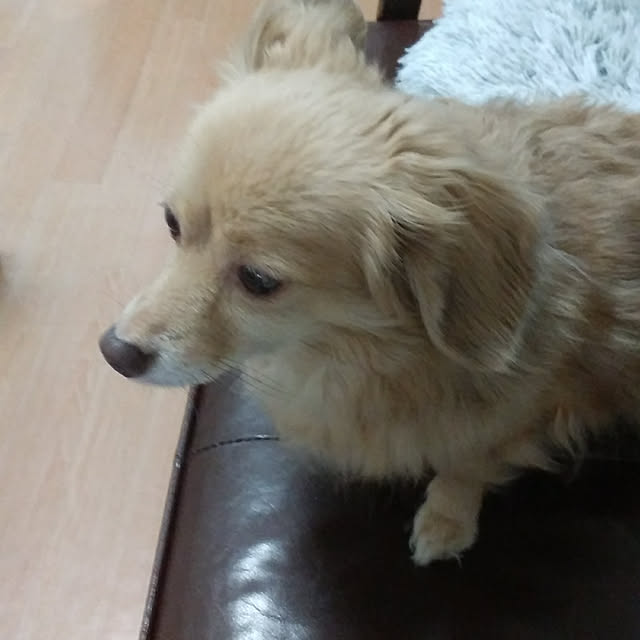 nao320さんの実例写真