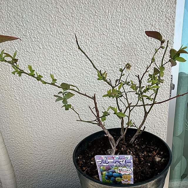 syutmmさんの部屋