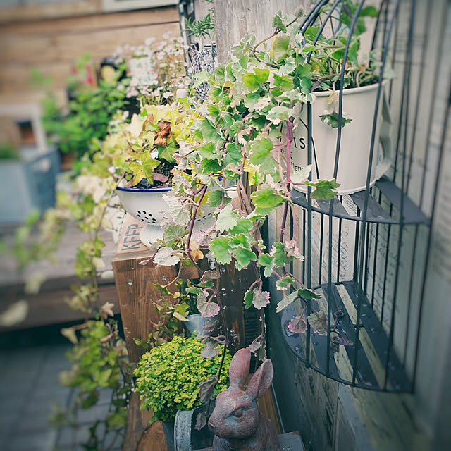 mogu0418さんの実例写真