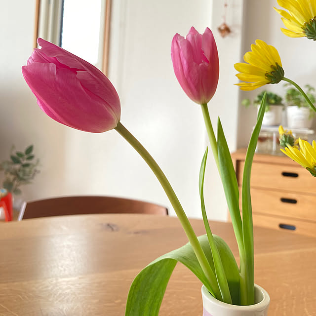 bestwishes.ryokoさんの部屋