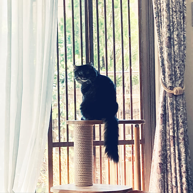 maikosho77さんの実例写真