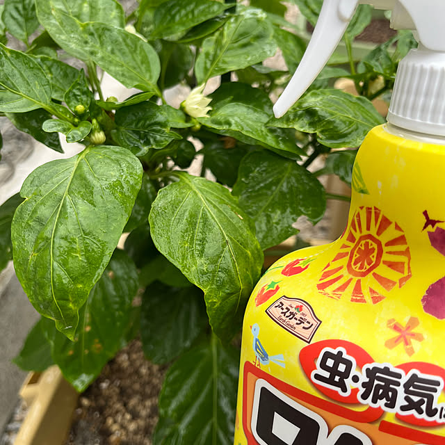 hirakou1207さんの実例写真