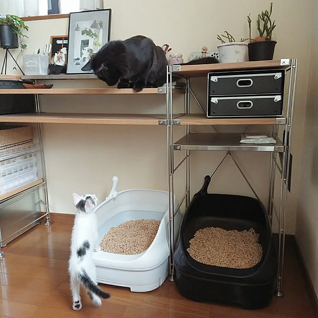 kumiさんの実例写真