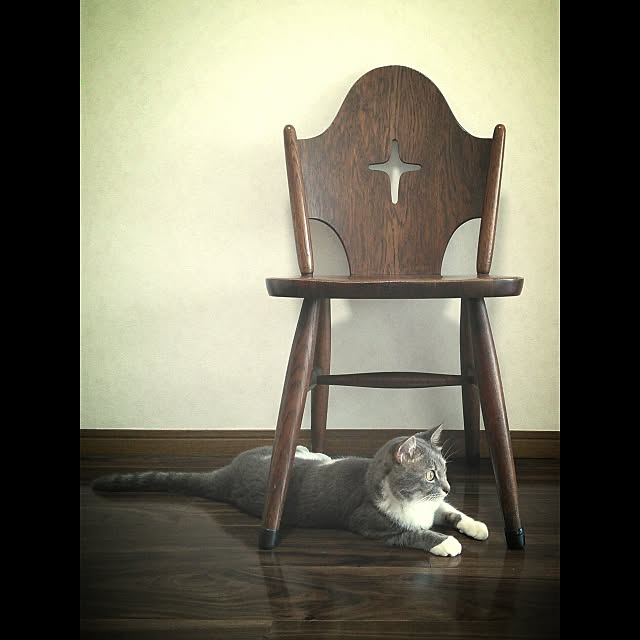 lovepandaさんの実例写真