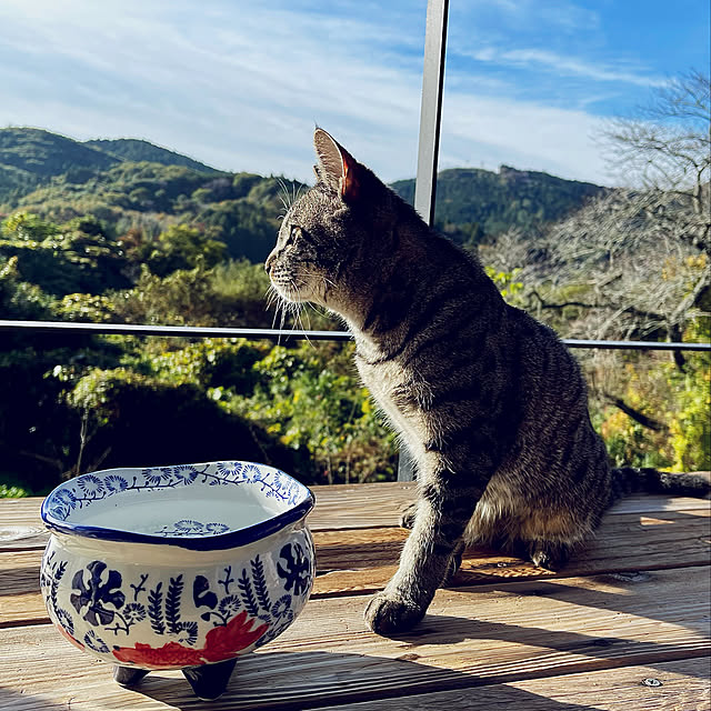 sakurasakuさんの実例写真