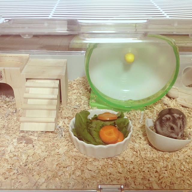 ginjiさんの実例写真