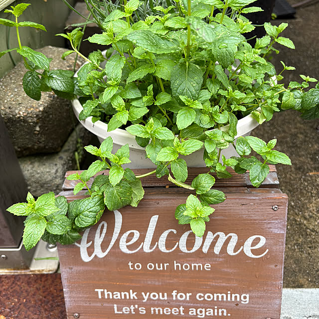 chococoさんの部屋