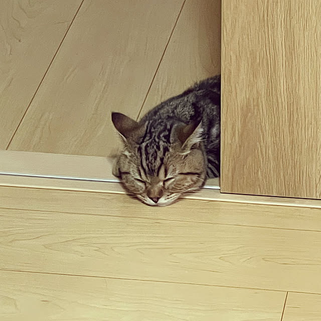 chiiさんの部屋