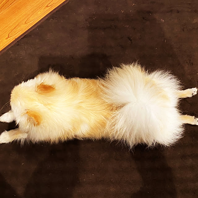 1546さんの実例写真