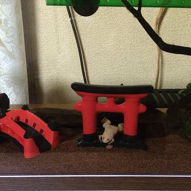 Vanillaさんの実例写真