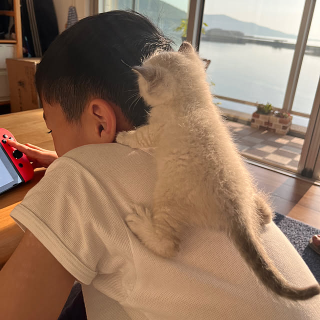 amさんの部屋