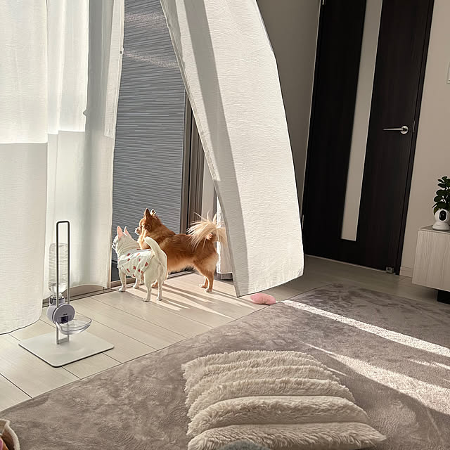 chimさんの実例写真