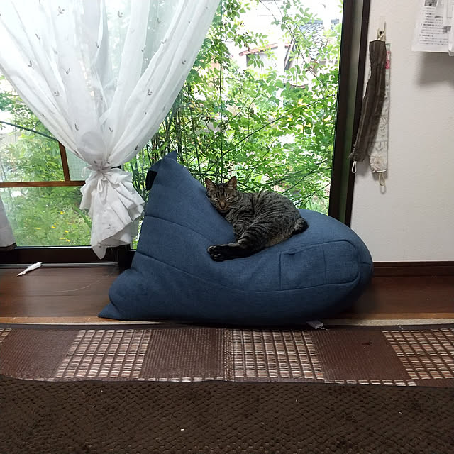 Mikaさんの実例写真