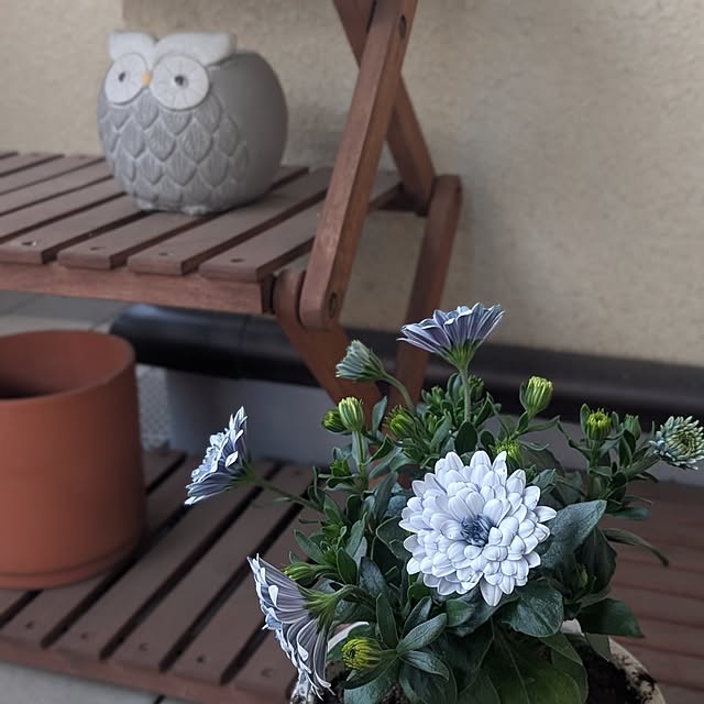 reeさんの実例写真