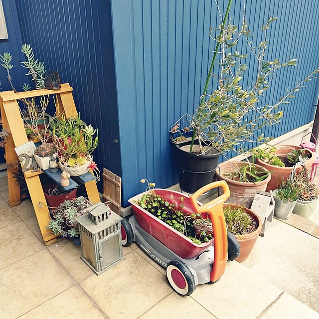 urchinさんの部屋