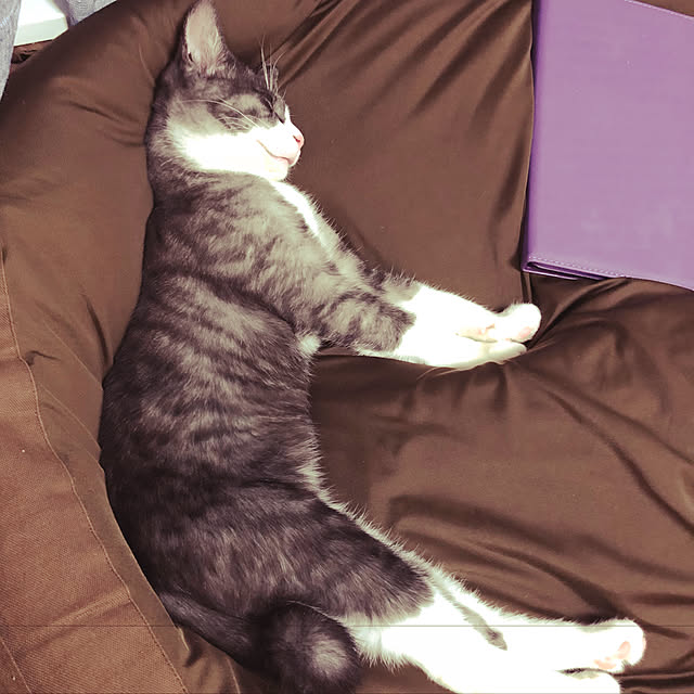 NEREさんの実例写真