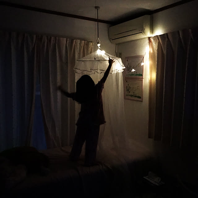 Megamouthさんの実例写真