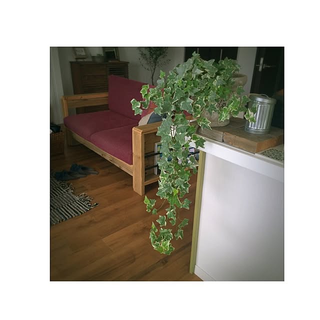 chihooo.sさんの実例写真