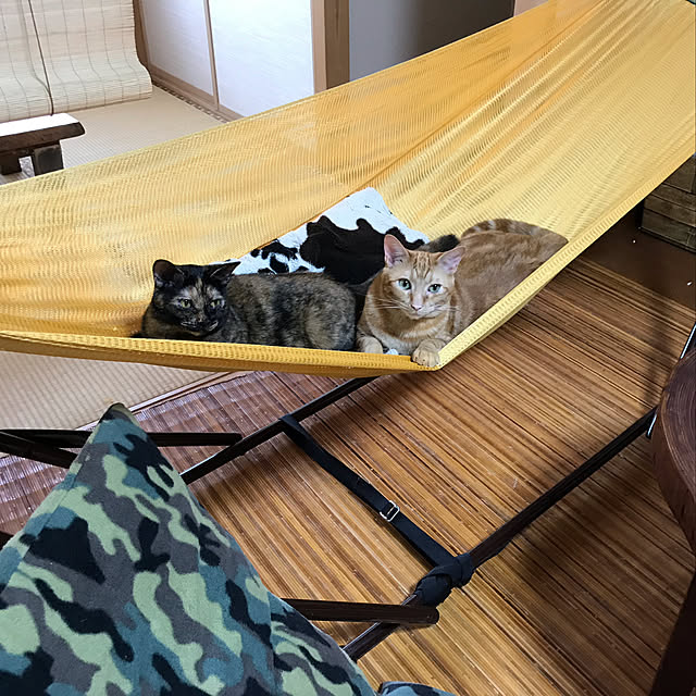 tornadeさんの実例写真