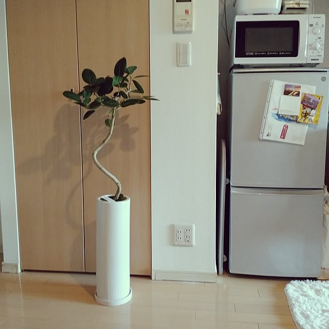 springさんの実例写真