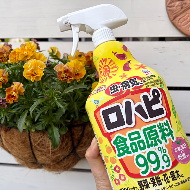 meruさんの実例写真