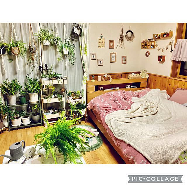 CoCo0617さんの実例写真