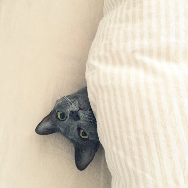 eriさんの実例写真