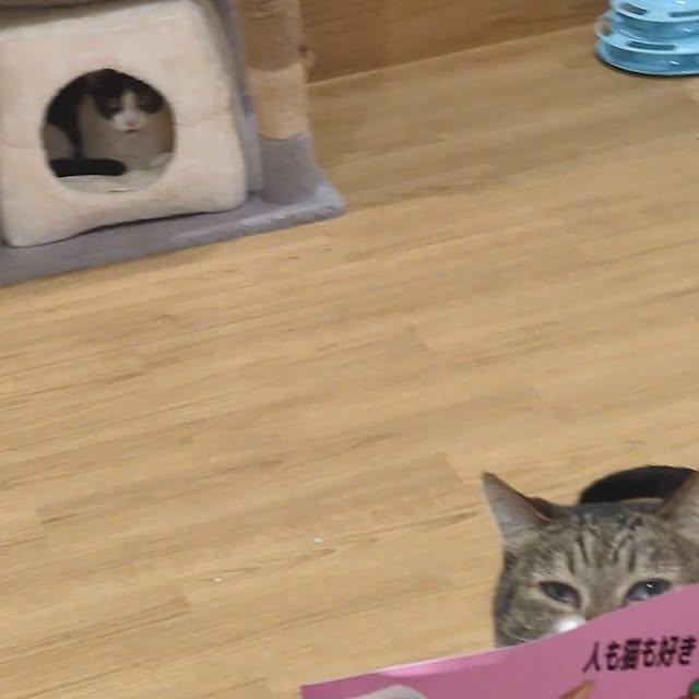 mori_6_12さんの部屋