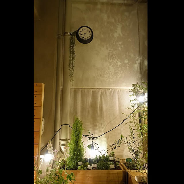 NKGardenさんの実例写真