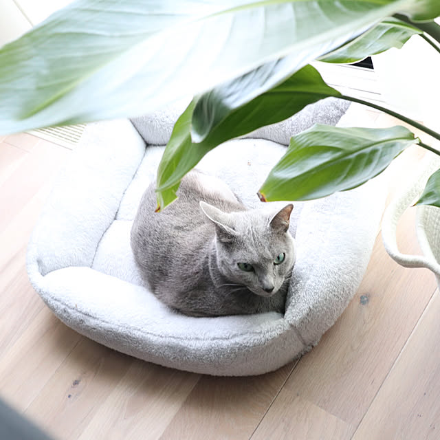 yk_homeさんの実例写真