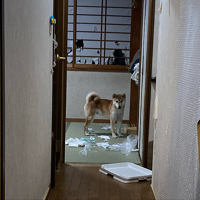luckyさんの実例写真