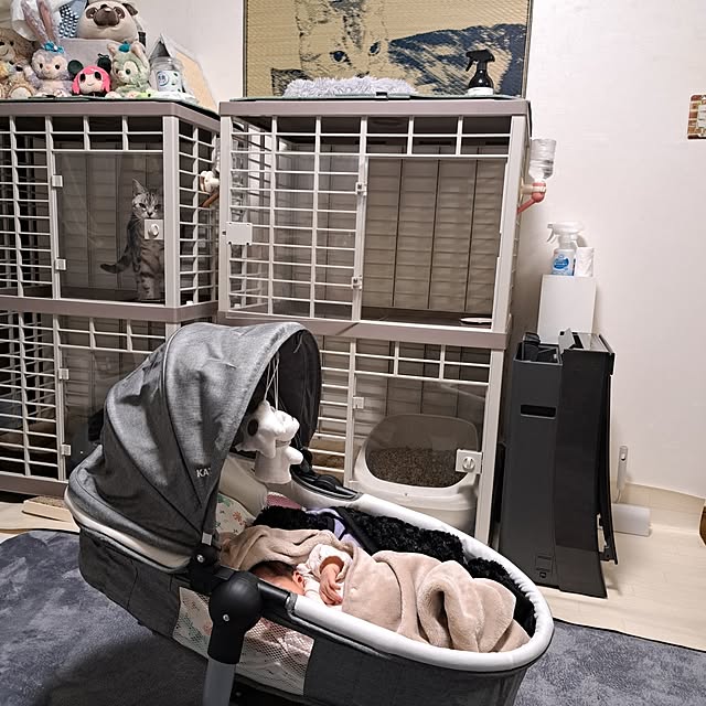 kumingさんの部屋