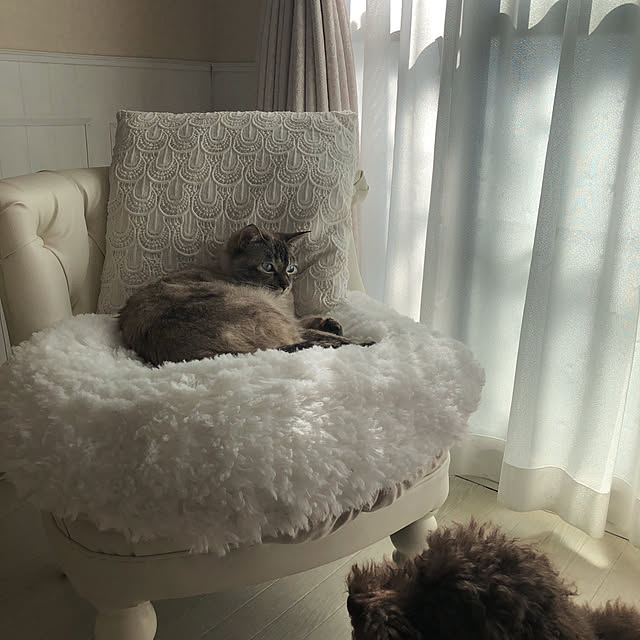 noelさんの実例写真