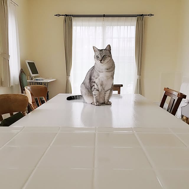 nicoさんの実例写真