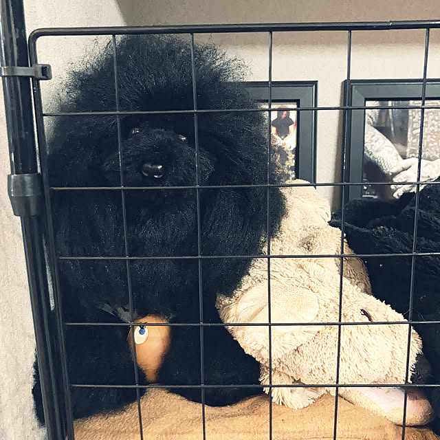 Mimmyさんの実例写真