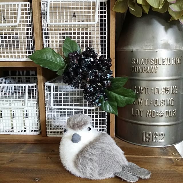 karinさんの実例写真