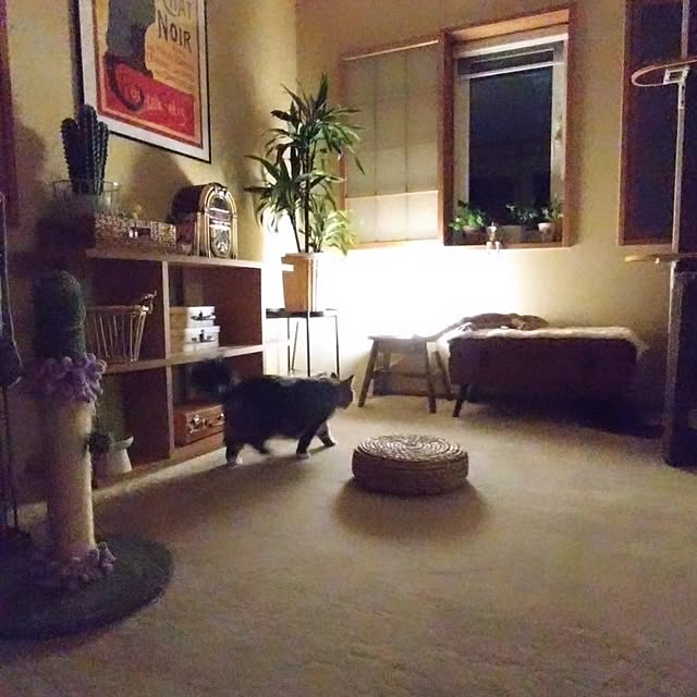 CHIKAさんの部屋