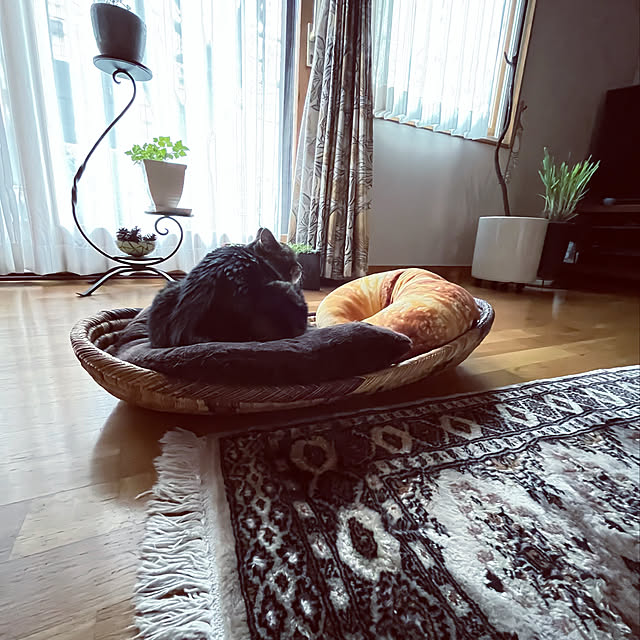 botanさんの実例写真
