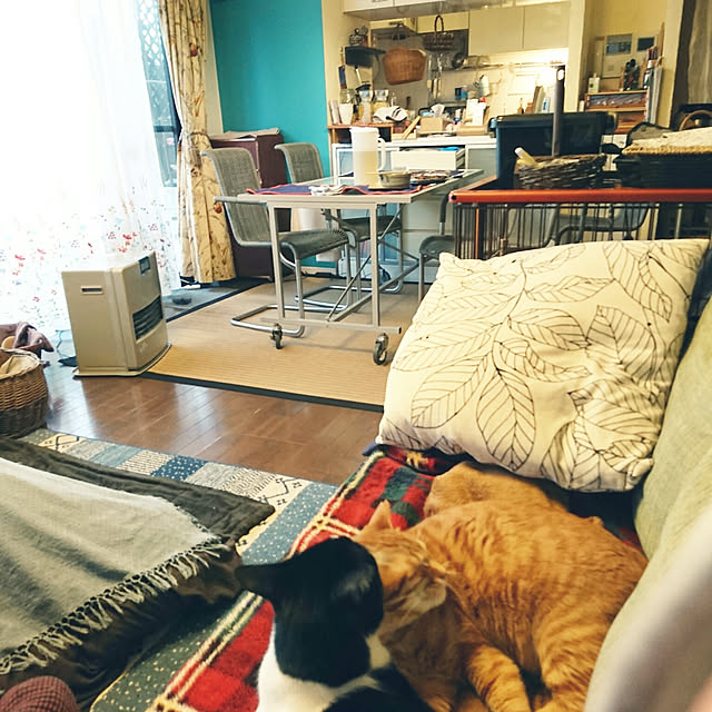 okyosan101さんの実例写真