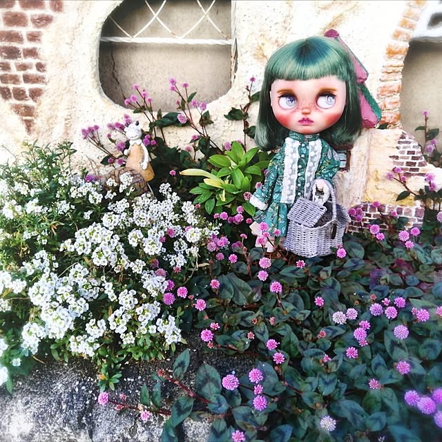 637さんの実例写真