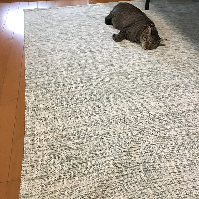 mikan161さんの実例写真